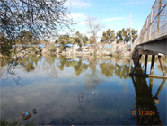 View of the Smith Canal with homeless encampment on the levee across the canal. Walking bridge off to the right. Foreground shows brown plastic shopping cart in the water. - Date of 03.11.2020 shows at the bottom of the photo