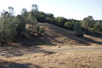 Hill with rill erosion
