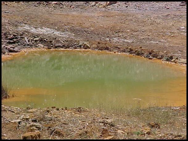 Water pond on dirt surface with green hue in the middle and reddish orange hue around the perimeter.