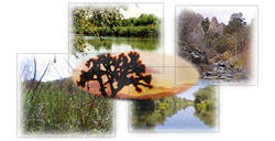Victorville Collage