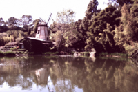 pond in los angeles area