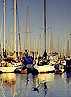Long Beach Marina By State Board