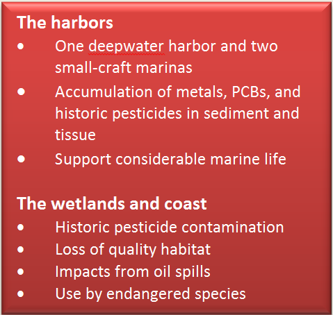 Text Box: The harbors  •	One deepwater harbor and two small-craft marinas  •	Accumulation of metals, PCBs, and historic pesticides in sediment and tissue  •	Support considerable marine life    The wetlands and coast  •	Historic pesticide contamination  •	Loss of quality habitat  •	Impacts from oil spills  •	Use by endangered species