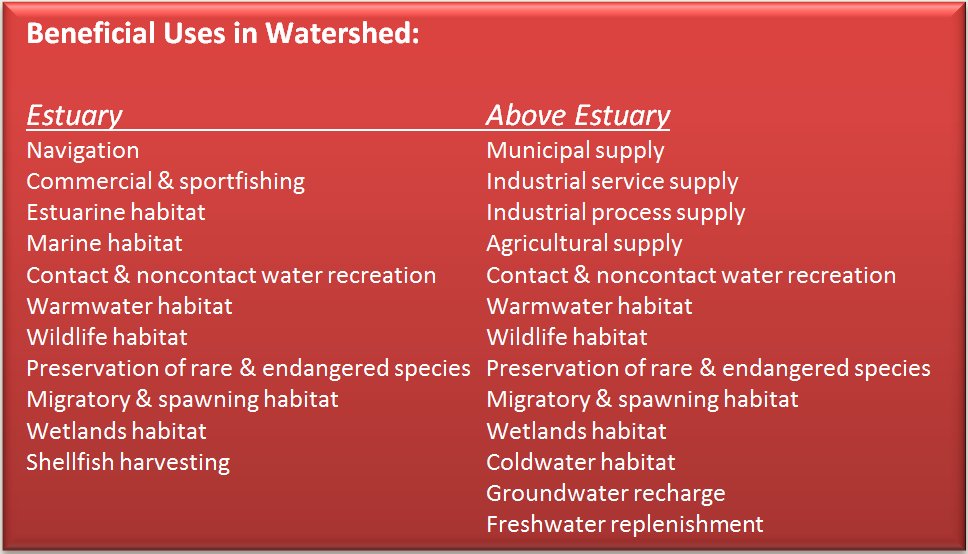 Text Box: Beneficial Uses in Watershed:    Estuary				Above Estuary  Navigation				Municipal supply  Commercial & sportfishing		Industrial service supply  Estuarine habitat			Industrial process supply  Marine habitat			Agricultural supply  Contact & noncontact water recreation	Contact & noncontact water recreation  Warmwater habitat			Warmwater habitat  Wildlife habitat			Wildlife habitat  Preservation of rare & endangered species	Preservation of rare & endangered species  Migratory & spawning habitat		Migratory & spawning habitat  Wetlands habitat			Wetlands habitat  Shellfish harvesting			Coldwater habitat  				Groundwater recharge  				Freshwater replenishment