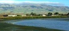 Estuaries