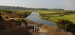 Wetlands
