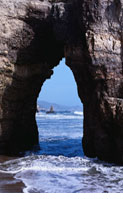 Natural Portal