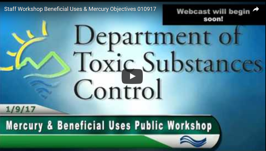 Staff Workshop Beneficial Uses & Mercury Objectives