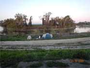 View of the Smith Canal with homeless encampment on the levee across the canal. Walking brige off to the right. Foreground shows brown plastic shopping cart in the water. - Date of 03.11.2020 shows at the bottom of the photo