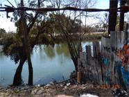 Smith Canal levee with corrugated steel makeshift fence with graffiti. Debris and several brown shoppin carts turned over on waters edge. - Date of 03.11.2020 shows at the bottom of the photo