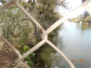 Peering through chain link fence of water edge showing debris in the Smith Canal - Date of 03.11.2020 shows at the bottom of the photo