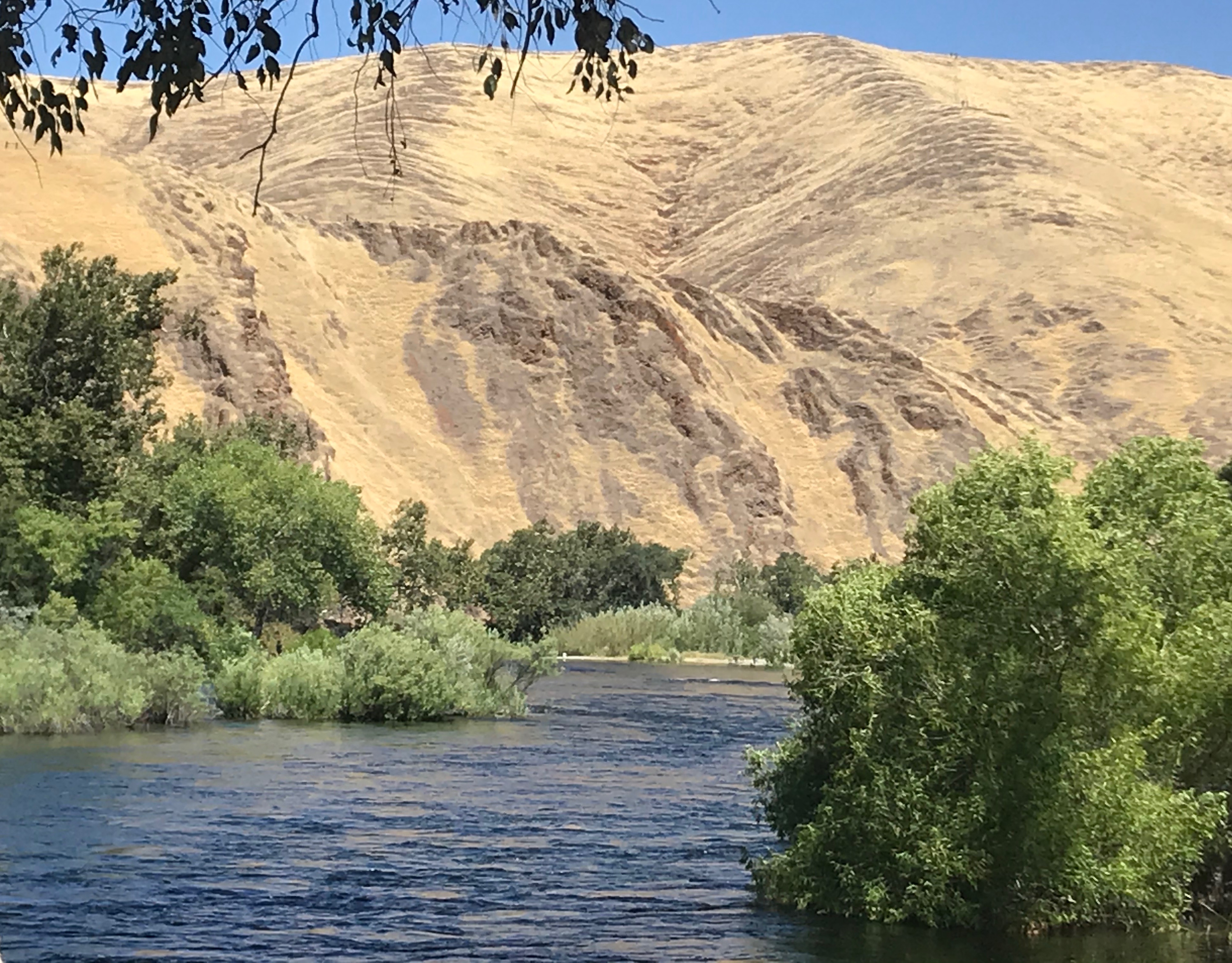 san joaquin river