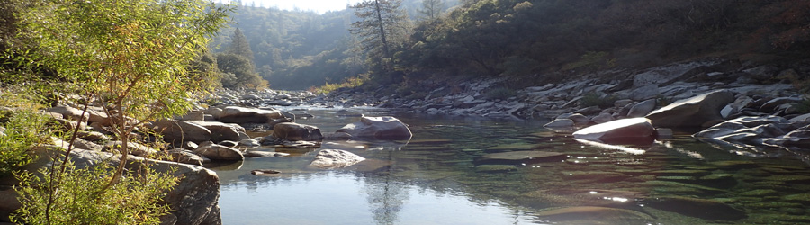 Surface Water Ambient Monitoring Program (SWAMP)  Central Valley Regional Water  Quality Control Board