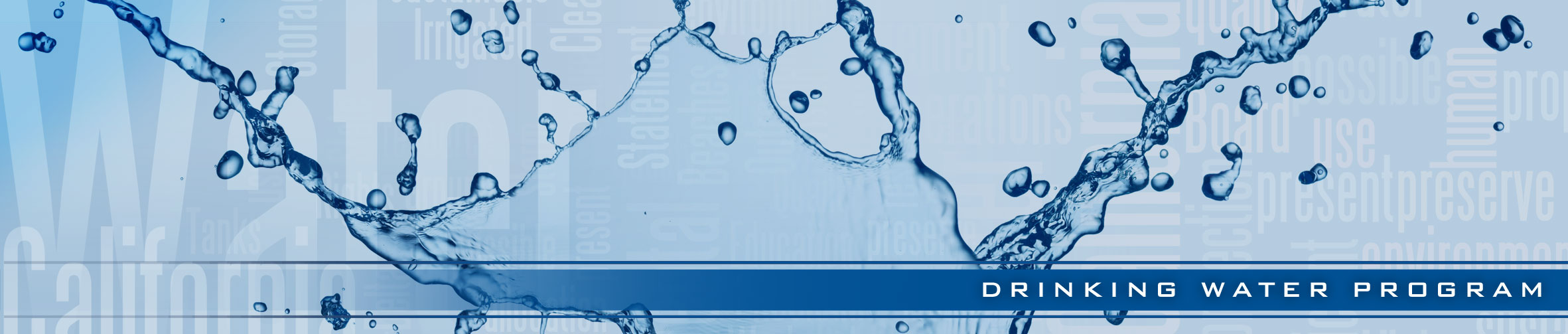 DWP Banner