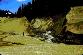 Leviathan Creek cutting through earthen levy, October 1981
