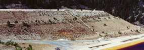 Pond 2 slope revegetation