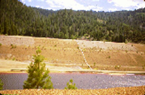 Revegetation
amendment at Pond 2