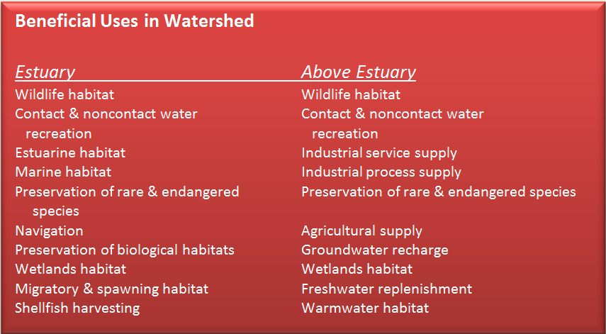 Text Box: Beneficial Uses in Watershed    Estuary				Above Estuary  Wildlife habitat			Wildlife habitat  Contact & noncontact water 		Contact & noncontact water      recreation			   recreation  Estuarine habitat			Industrial service supply  Marine habitat			Industrial process supply  Preservation of rare & endangered 	Preservation of rare & endangered species	 species  Navigation				Agricultural supply  Preservation of biological habitats	Groundwater recharge  Wetlands habitat			Wetlands habitat  Migratory & spawning habitat		Freshwater replenishment  Shellfish harvesting			Warmwater habitat