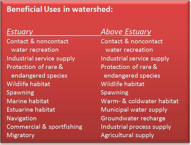 Text Box: Beneficial Uses in watershed:    Estuary			Above Estuary        Contact & noncontact		Contact & noncontact	     water recreation	   	   water recreation  Industrial service supply	Industrial service supply  Protection of rare &		Protection of rare &      endangered species		  endangered species  Wildlife habitat		Wildlife habitat  Spawning			Spawning  Marine habitat		Warm- & coldwater habitat  Estuarine habitat		Municipal water supply  Navigation			Groundwater recharge  Commercial & sportfishing	Industrial process supply  Migratory		 	Agricultural supply    