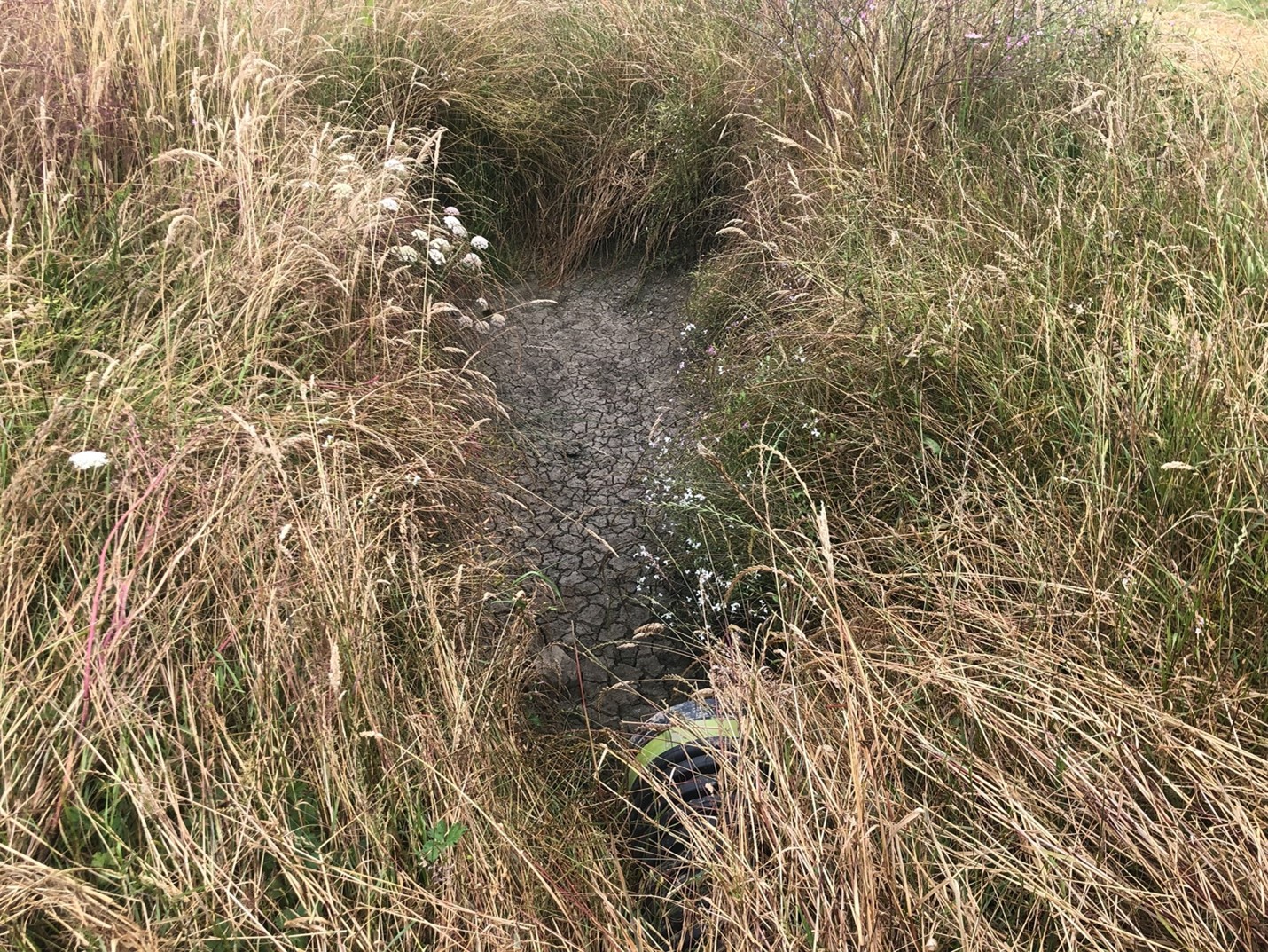 A small basin surrounded by grass with dried cracked sediment at the bottom. A culvert is in the foreground to drain water out of the basin and leave the sediment behind.