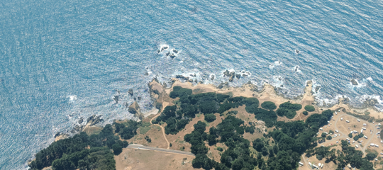 salt point state park from above