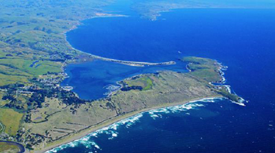 Aerial View of Bodega Bay 
