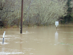 Flood waters covering street signs and telephone poles