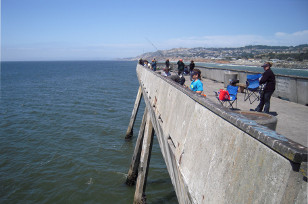 People fishing at the pier