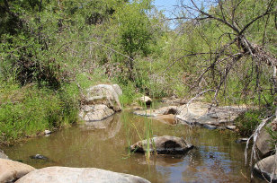 Stream surrounded by rocks and trees