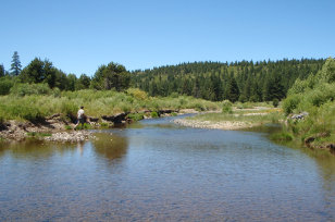 A person walking along a river