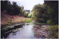 View of the Napa River