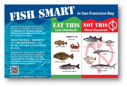 Poster showing fish that are safe to eat and not safe to eat
