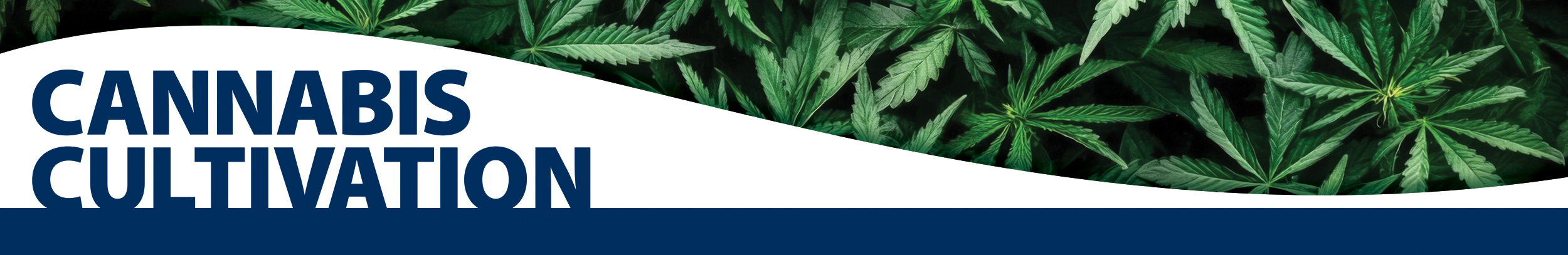 Cannabis Cultivation Banner