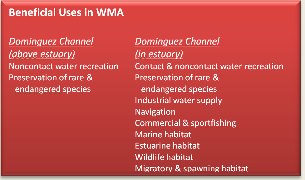 Text Box: Beneficial Uses in WMA    Dominguez Channel	Dominguez Channel  (above estuary)		(in estuary)  Noncontact water recreation	Contact & noncontact water recreation  Preservation of rare &	Preservation of rare &      endangered species		   endangered species  		Industrial water supply  			Navigation  			Commercial & sportfishing  			Marine habitat  			Estuarine habitat  			Wildlife habitat  			Migratory & spawning habitat