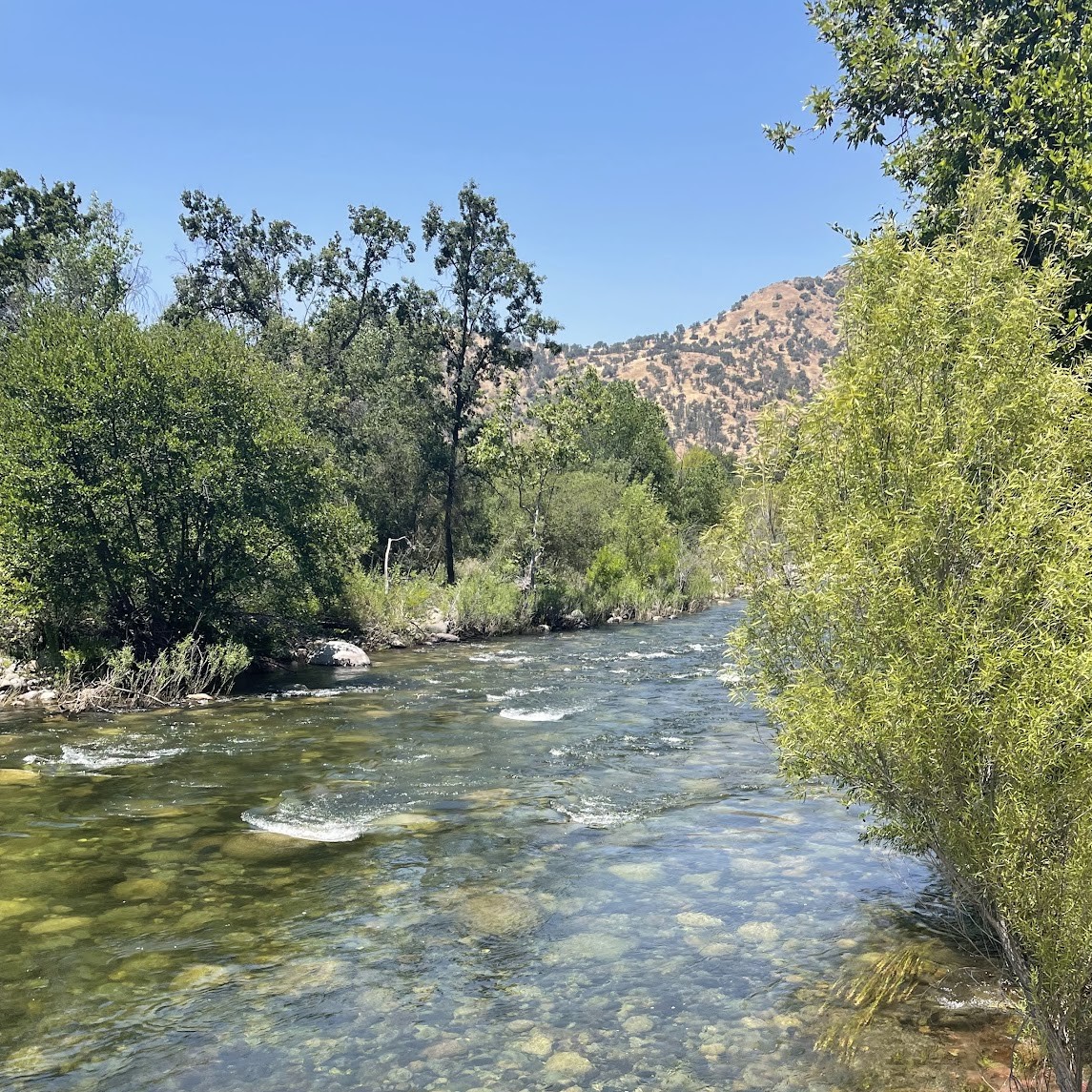 Photo from a wide, clear river where cobbles are visible on the riverbed, various green trees line the riverbanks, and brown mountains can be seen in the distance.