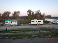 Smith Canal levee with corrugated steel makeshift fence with graffiti. Debris and several brown shoppin carts turned over on waters edge. - Date of 03.11.2020 shows at the bottom of the photo