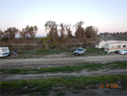 Smith Canal levee edge with metal shopping cart and debris in the water