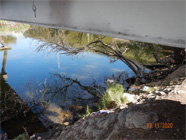 Smith Canal levee edge with metal shopping cart and debris in the water