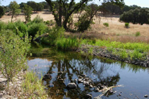 Remediated stream in foreground and reclaimed mine in background