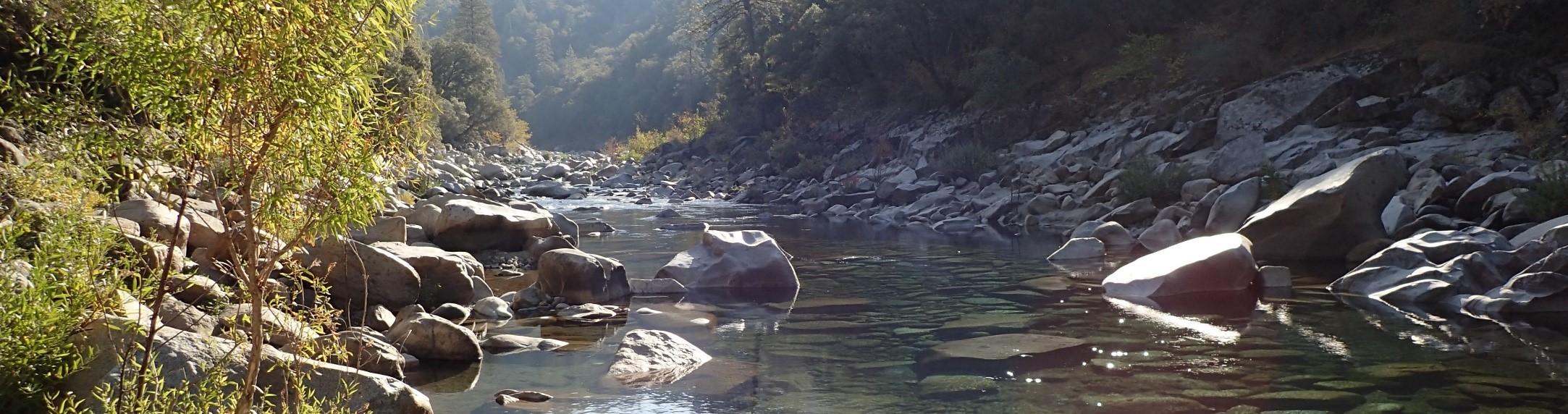 SWAMP Header