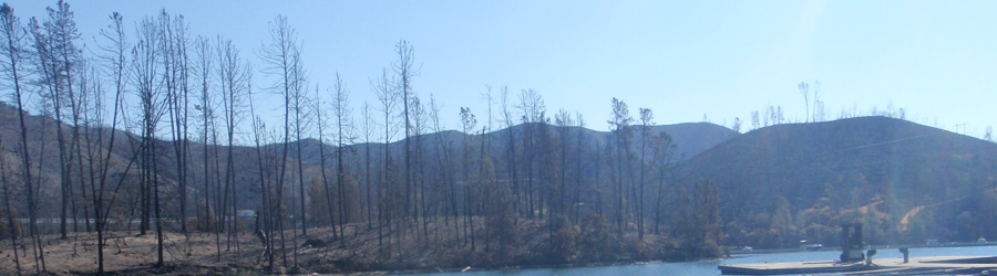 Whiskeytown Lake marina with burned trees surrounding the lakefront.