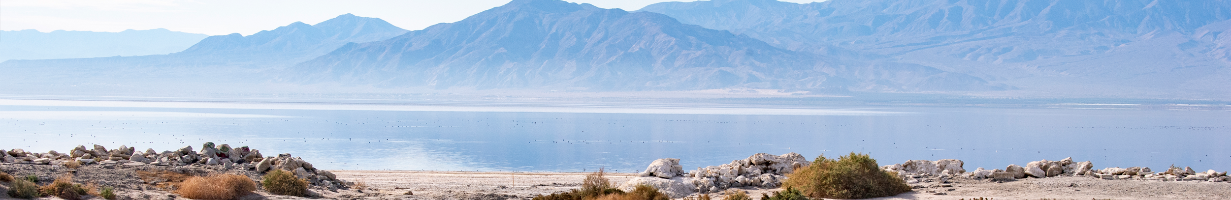 Salton Sea Banner