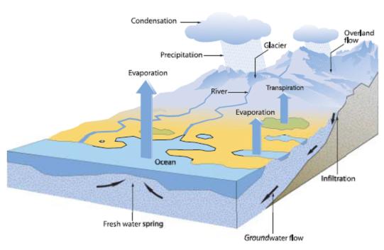 The Hydrologic Cycle