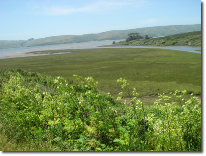 View of Tomales Bay and the Walker Creek delta