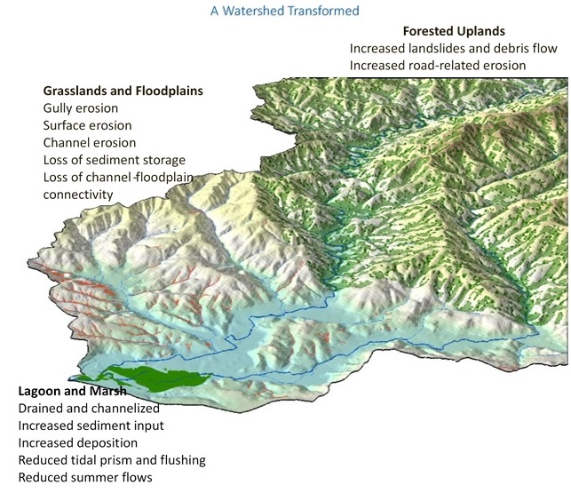 Watershed map showing features like the lagoon and marsh, grasslands and floodplains, and the forested uplands.