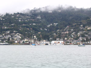 view of Sausalito from the water