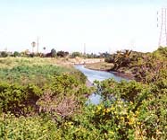 Photo of San Francisquito Creek