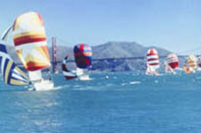 Spinnakers on the Bay