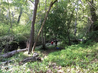 Photo of Steven Creek within the Stevens Creek County Park, below the reservoir. This is an upper watershed photo showing the creek in good condition.