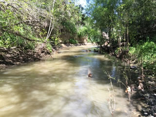 Photo of Stevens Creek near Highway 1, located at the bottom of the watershed